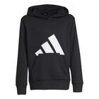 DEČIJI DUKS ADIDAS J BL FT HD 280