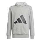Dečiji duks adidas J Bl Ft Hd 280