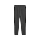 Muška trenerka donji deo Puma Evostripe Core Pants
