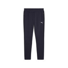 Muška trenerka donji deo Puma Evostripe Pants Dk Op