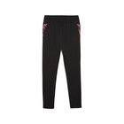 Muška trenerka donji deo Puma Individualcup Training Pants