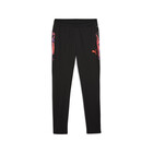 Muška trenerka donji deo Puma Individualcup Training Pants