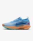 MUŠKE PATIKE NIKE REACTX PEGASUS TRAIL 5 GTX