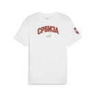 Muški dres Puma Fss Ftblicons Tee