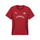 Muški dres Puma Fss Prematch Ss Jersey