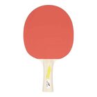 PRO TOUCH REKET ZA STONI TENIS PRO 2000