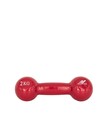 TEGOVI DUMBBELL SET 2KG