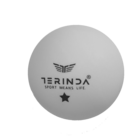 TERINDA LOPTICE ZA STONI TENIS