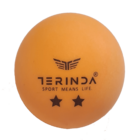 TERINDA LOPTICE ZA STONI TENIS
