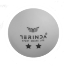 TERINDA LOPTICE ZA STONI TENIS
