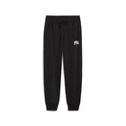 Ženska trenerka donji deo Puma Squad Pants Tr