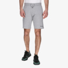 MUŠKI ŠORC CHAMPION BASIC SHORTS
