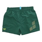 Dečiji &scaron;orc za kupanje Arena Boys' beach short logo r