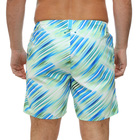 Mu&scaron;ki &scaron;orc za kupanje Arena Men's water prints beach boxer ao