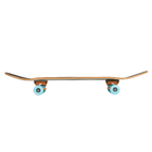 FIREFLY SKEJTBORD SKB 505 PETROL/ORANGE LIGHT/