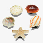 Unisex bedž CROCS She Sells Seashells 5 Pack
