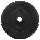 Tegovi za fitnes ENERGETICS IRON DISC 1X10.0