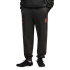 Mu&scaron;ka trenerka donji deo Puma Acm ftblculture sweat pants