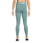 Ženske helanke NIKE W NP SCULPT DF HR TIGHT