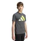Dečija majica adidas J bl tee 160