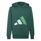 Dečiji duks sa kapuljačom adidas J bl ft hd 280