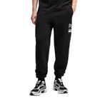 Muška trenerka donji deo Puma Sport logo play sweatpants fl cl