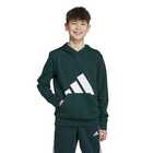 Dečiji duks sa kapuljačom ADIDASJ BL FT HD 2800