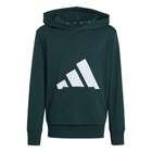 Dečiji duks sa kapuljačom ADIDASJ BL FT HD 2800