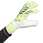 Golmanske rukavice ADIDAS PRED GL TRN