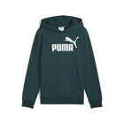Dečiji duks Puma Ess no. 1 logo hoodie fl b