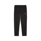 Muška trenerka donji deo Puma Evostripe pants dk