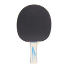 PRO TOUCH REKET ZA STONI TENIS PRO 4000