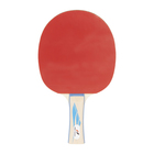 PRO TOUCH REKET ZA STONI TENIS PRO 4000