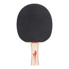 PRO TOUCH REKET ZA STONI TENIS PRO 5000