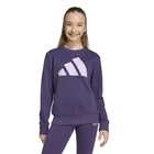 Dečiji duks adidas jg Bl ft swt0