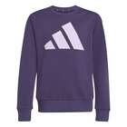 Dečiji duks adidas jg Bl ft swt0