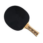 Donic Reket za stoni tenis champs line 150 fsc