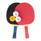 Donic Set za stoni tenis appelgren 300 set