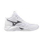 Muške patike za odbojku Mizuno Wave momentum pro mid