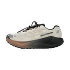 Ženske patike Salomon Shoes aero blaze 4 grvl gtx