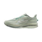 Muške patike za trčanje Nike Pegasus premium