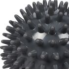 Loptice za masažu Energetics Knobbed balls pair 8cm