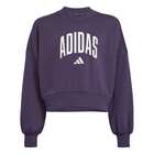 Dečiji duks adidas Jg clgt ft swt0