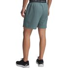 Muški šorc Under Armour Vanish woven 6in shorts
