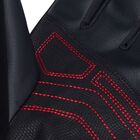 Unisex rukavice Mckinley Morrello ii m