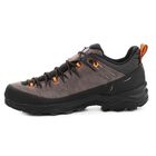 Muške zimske cipele Salewa Alp trainer 2 gtx m