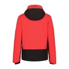 Muška zimska jana Icepeak Farwell