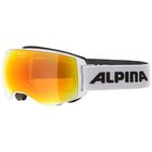 Unisex naočare za skijanje Alpina Naator q-lite