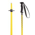 Dečiji &scaron;tapovi za skijanje Mckinley Team 100