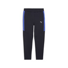 Dečija trenerka donji deo Puma Evostripe pants dk b